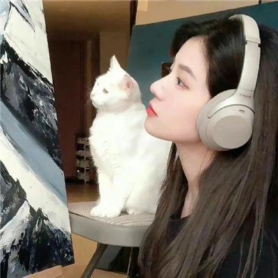 鸟类人间